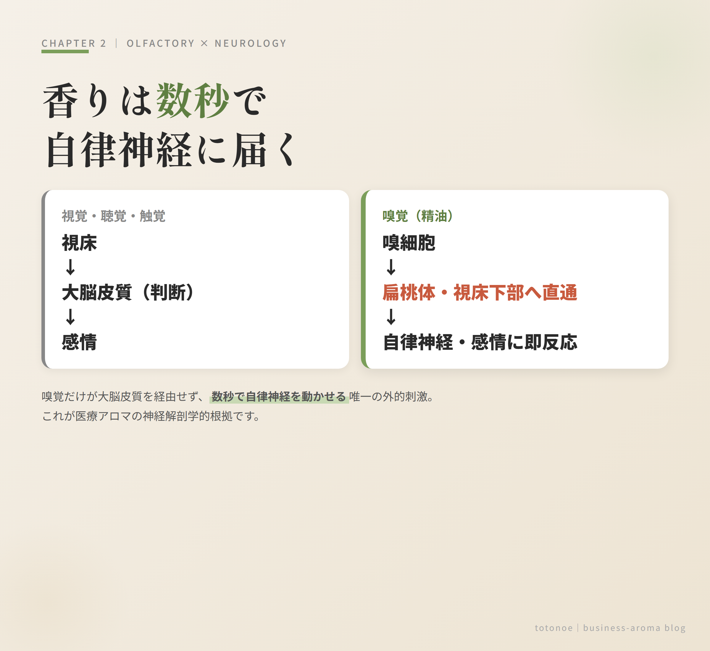 嗅覚と自律神経の経路