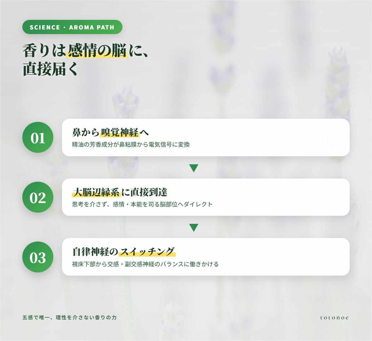 香りが脳に届く3ステップ