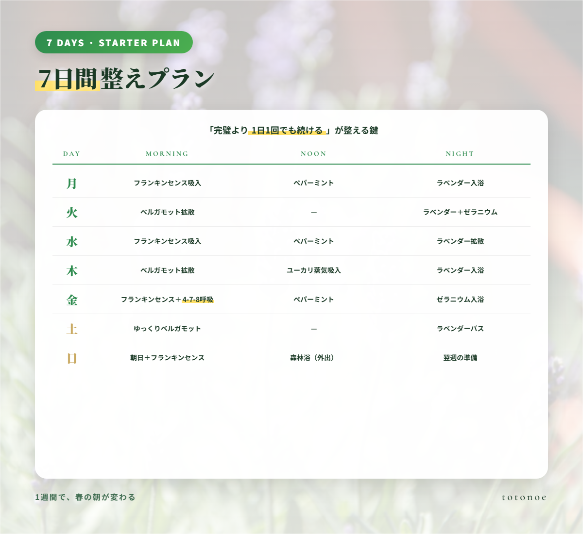 7日間整えプラン