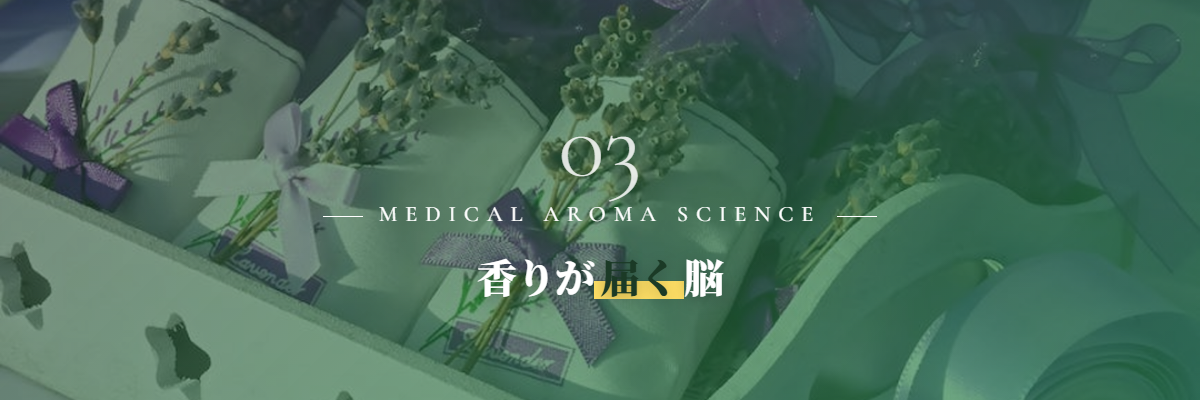 メディカルアロマと脳の科学