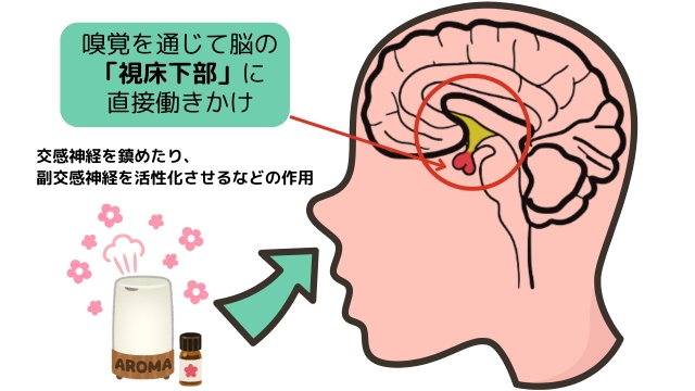 businessAroma113