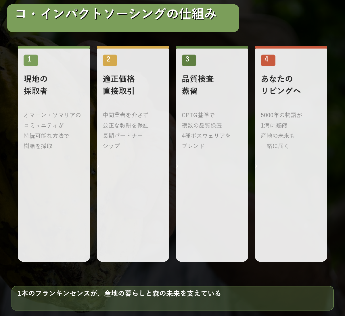 図解: コ・インパクトソーシングの仕組み