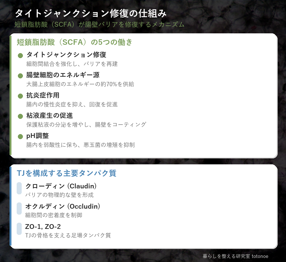タイトジャンクション修復の仕組み