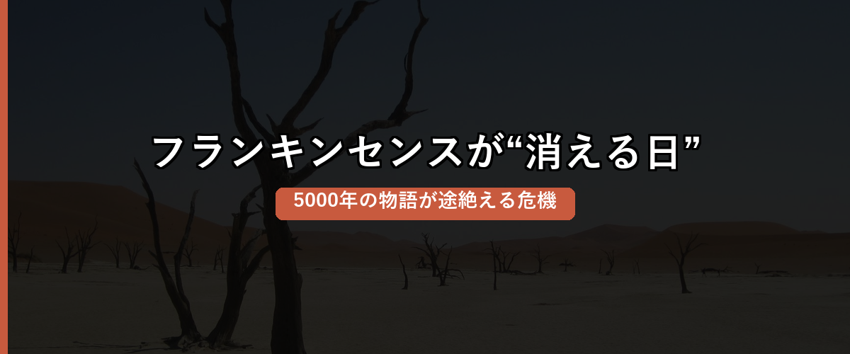 セクション区切り