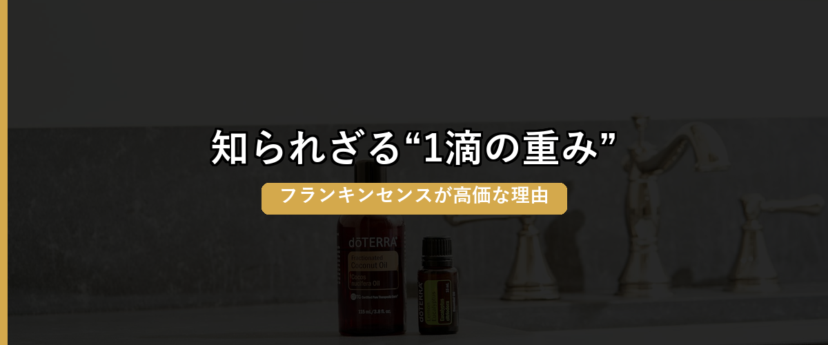 セクション区切り