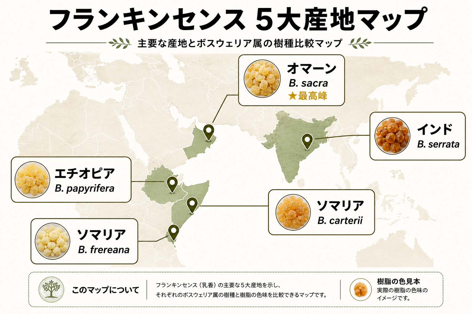 フランキンセンス 5品種×産地 徹底比較表