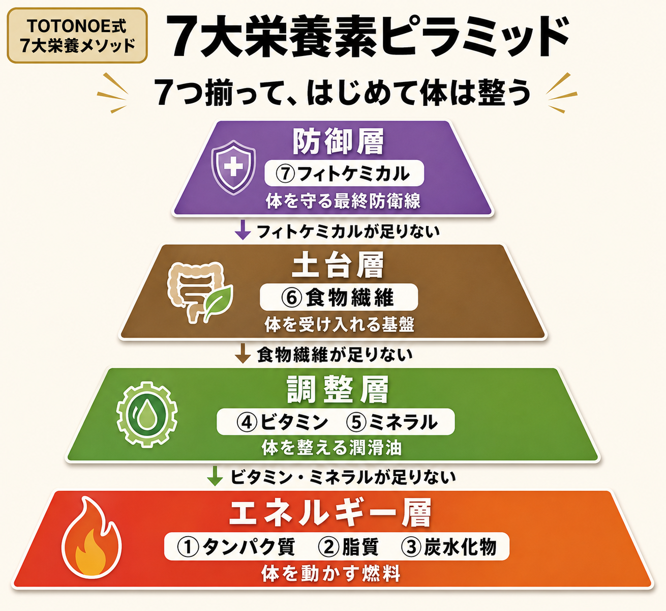 7大栄養素ピラミッド図解（エネルギー層→調整層→土台層→防御層の4層構造）