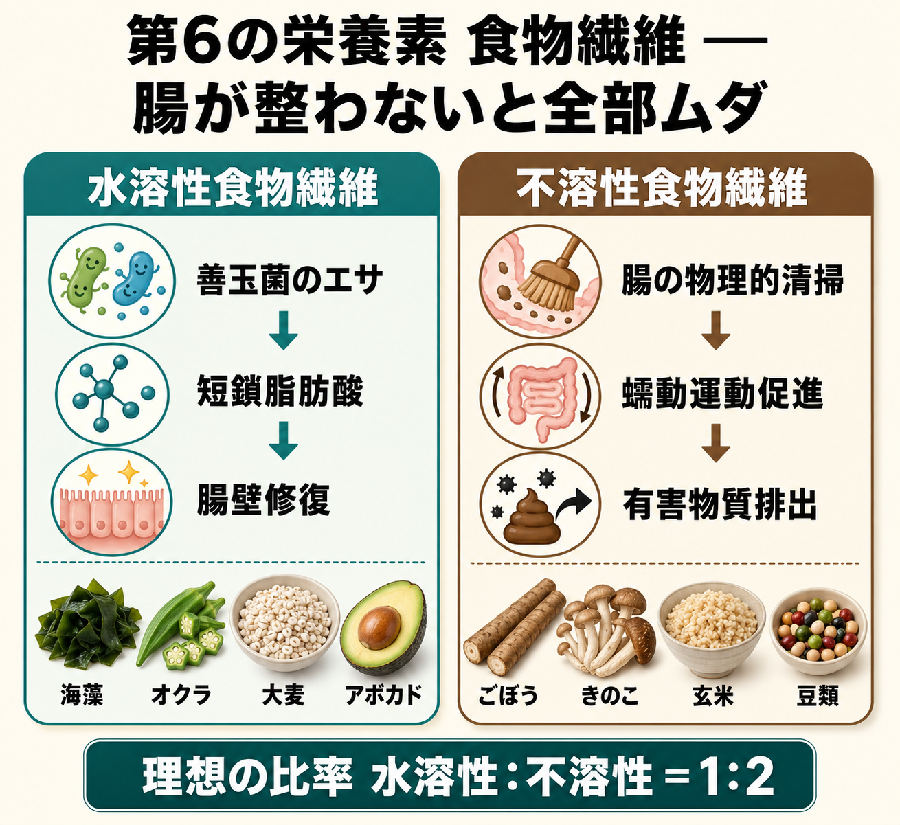 食物繊維の2種類と役割図解（水溶性=善玉菌エサ/不溶性=腸の物理清掃）