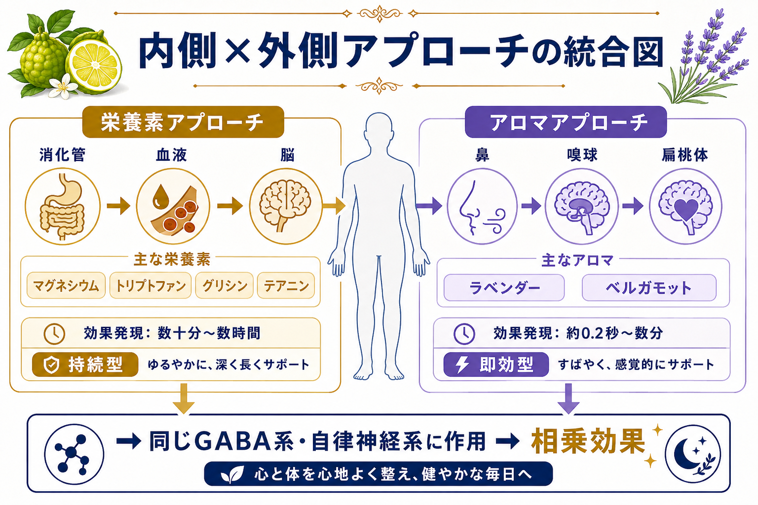【完全ガイド】睡眠の質を上げる5つの栄養素とアロマ|マグネシウム・ラベンダーの科学的根拠 50 図解: 内側×外側アプローチの統合図(栄養素=体内から・アロマ=嗅覚から、同じGABA系に作用)