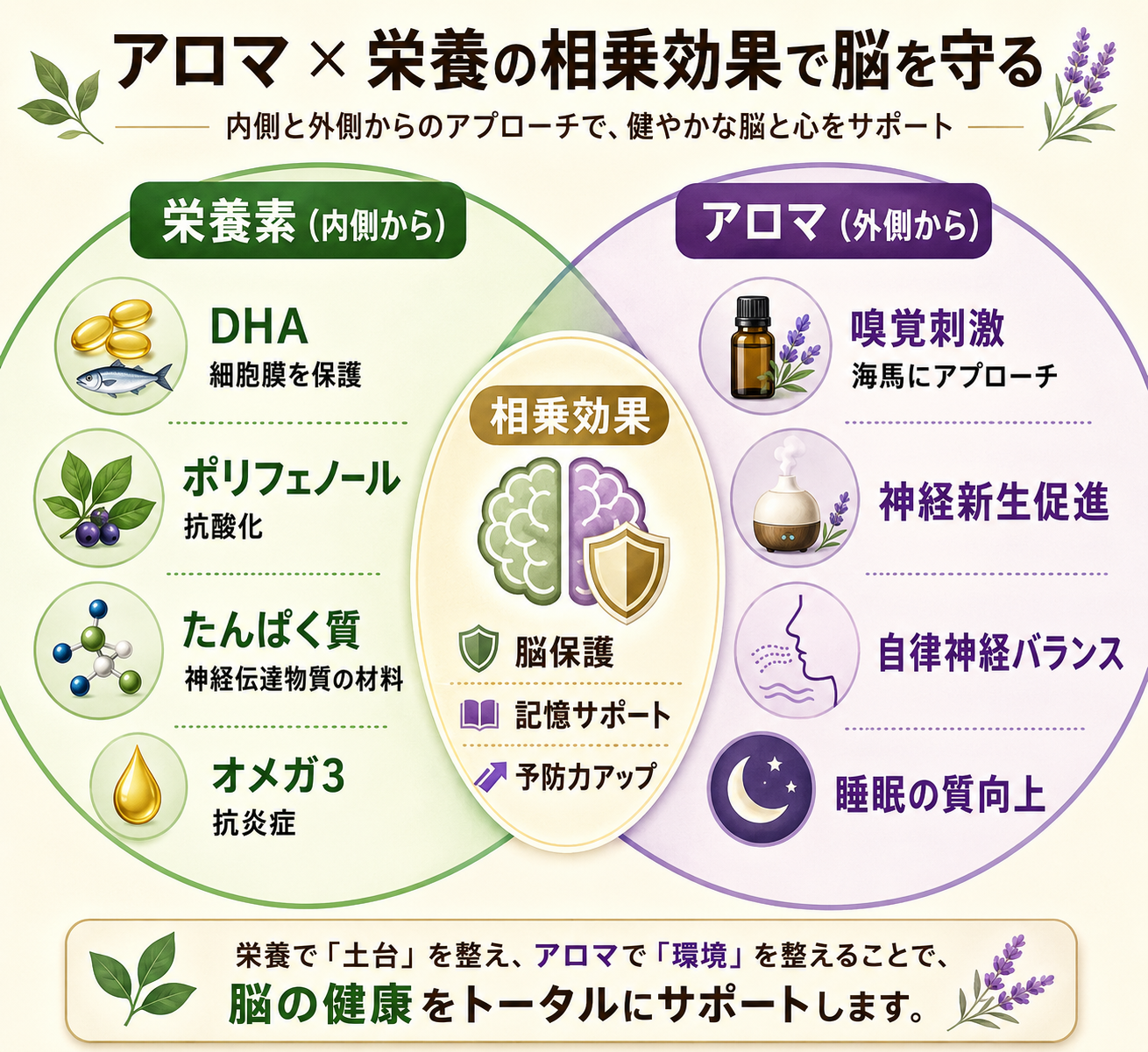 認知症予防に効く栄養素とアロマ|浦上式プロトコル×七大栄養素のエビデンス完全ガイド 65 totonoe blog inline 11