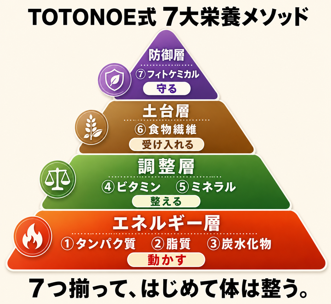 TOTONOE式4層ピラミッド完全版（エネルギー層/調整層/土台層/防御層を色分け、各層に栄養素名と役割）