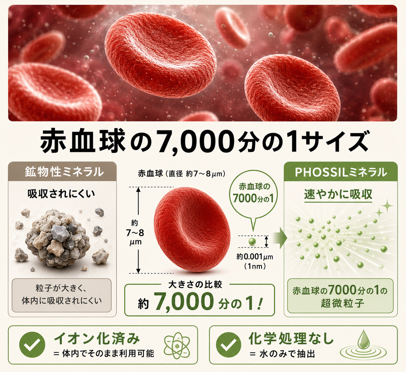 ミネラル不足は食事だけでは解決できない?|PHOSSILミネラルの成分・吸収・活用法 52 image
