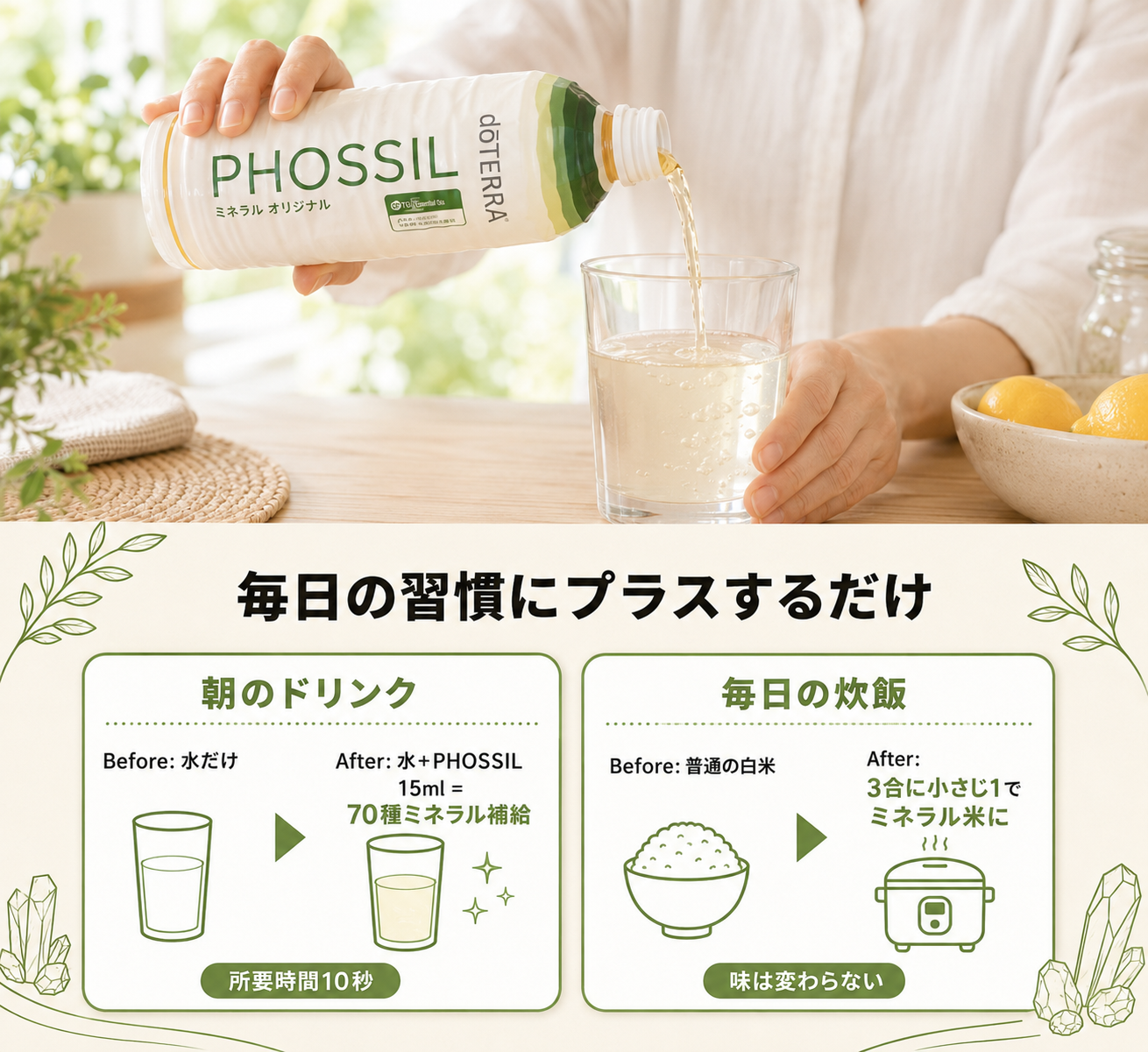 ミネラル不足は食事だけでは解決できない?|PHOSSILミネラルの成分・吸収・活用法 82 image