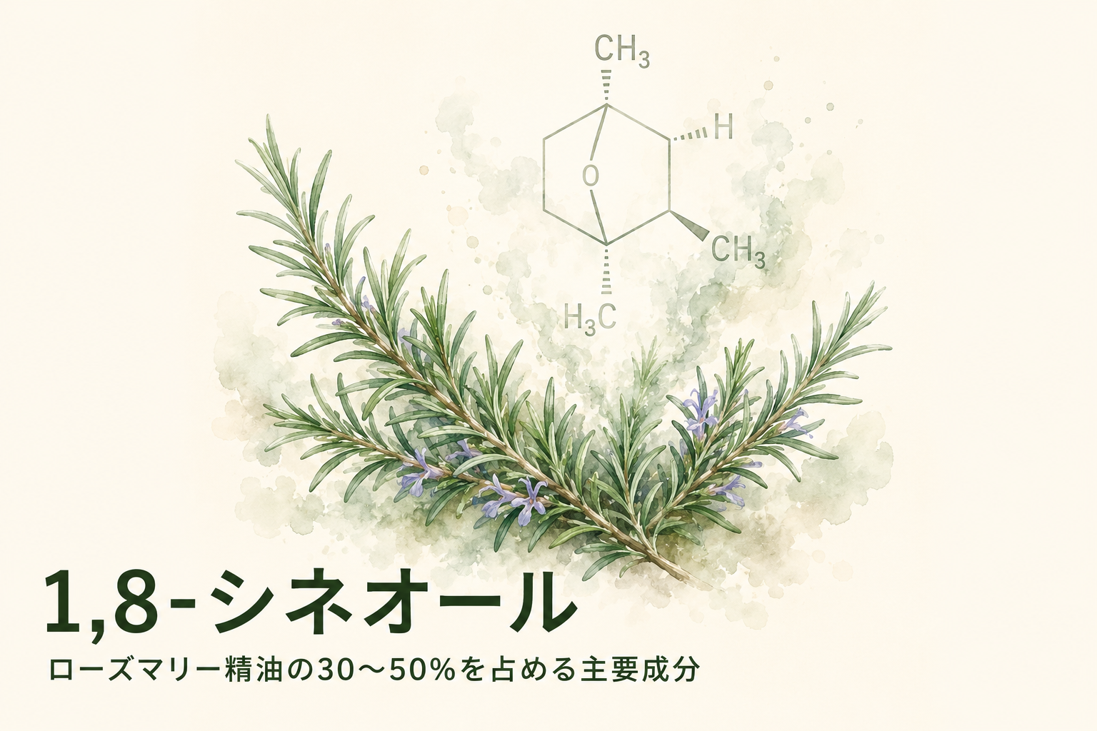 集中力を高める精油の科学 ── ローズマリーの1,8-シネオールが脳に届くメカニズム 9 section 01