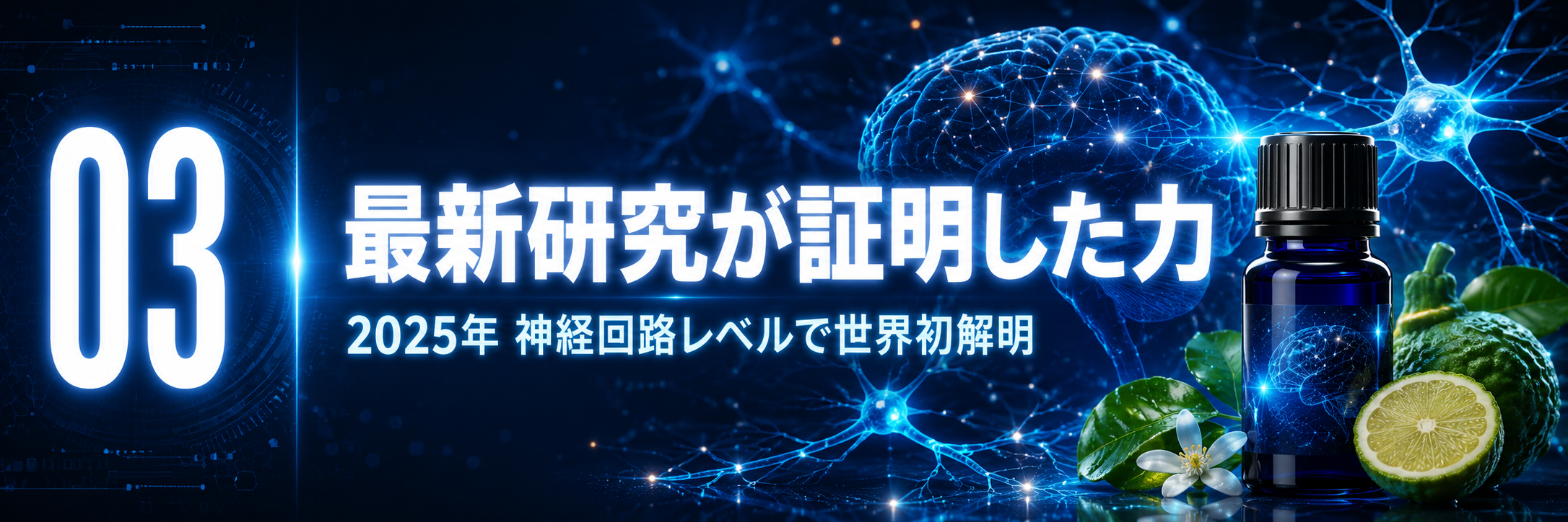 最新研究が証明したベルガモットの力 2025年神経回路解明 セクション区切り画像