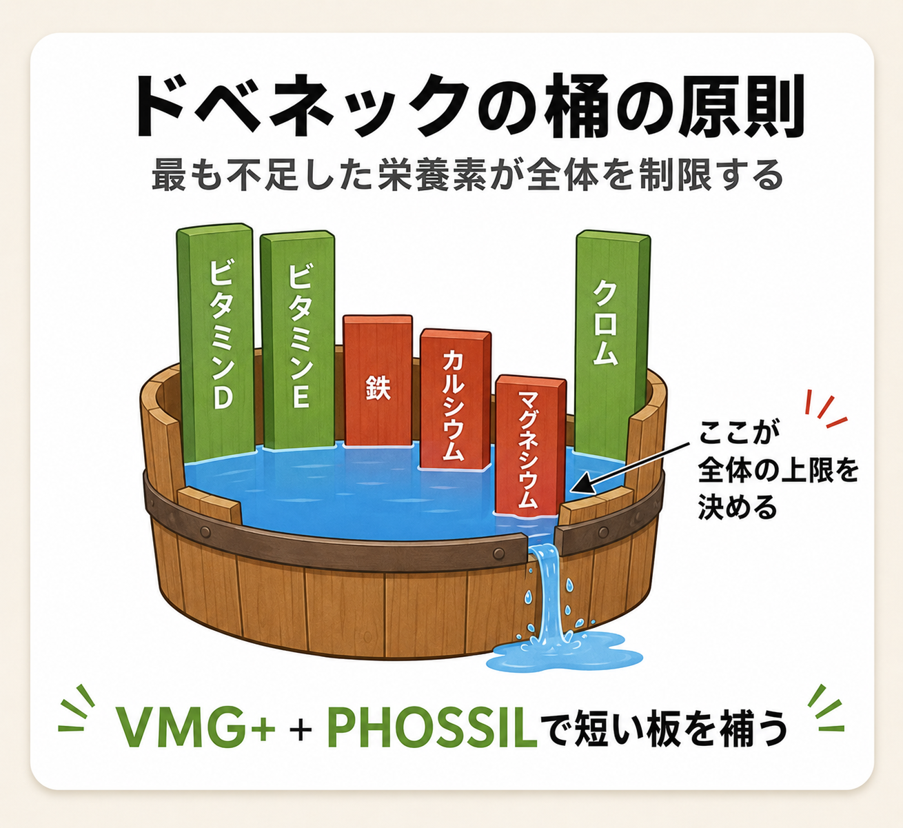 VMG+徹底解説|ビタミン×ミネラルを1包で摂る新発想サプリの成分設計と根拠 73 ドベネックの桶の原則を栄養素に当てはめた図解
