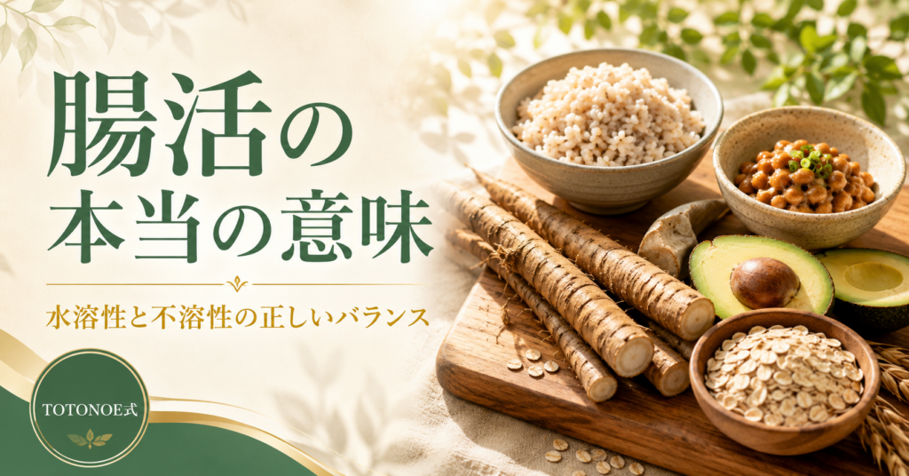 腸活の本当の意味 ── 水溶性と不溶性の正しいバランス