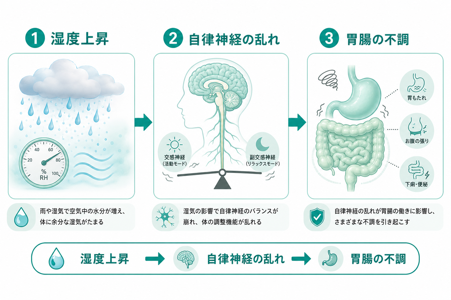 梅雨時期の胃腸不調メカニズム──湿度・気圧・自律神経の関係図
