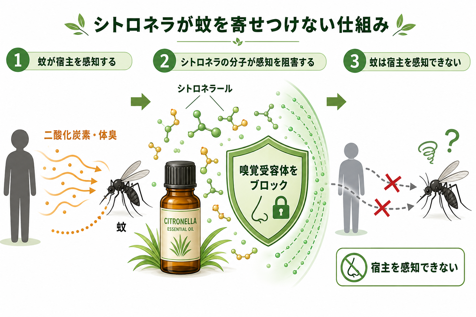 図解