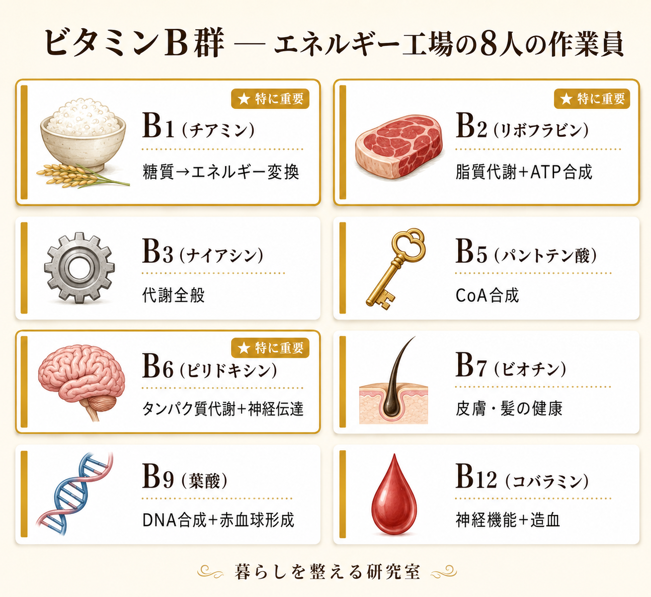 慢性疲労の原因は栄養素不足?鉄・ビタミンB群・マグネシウムの科学的根拠と今日からできる対策 29 inline 03