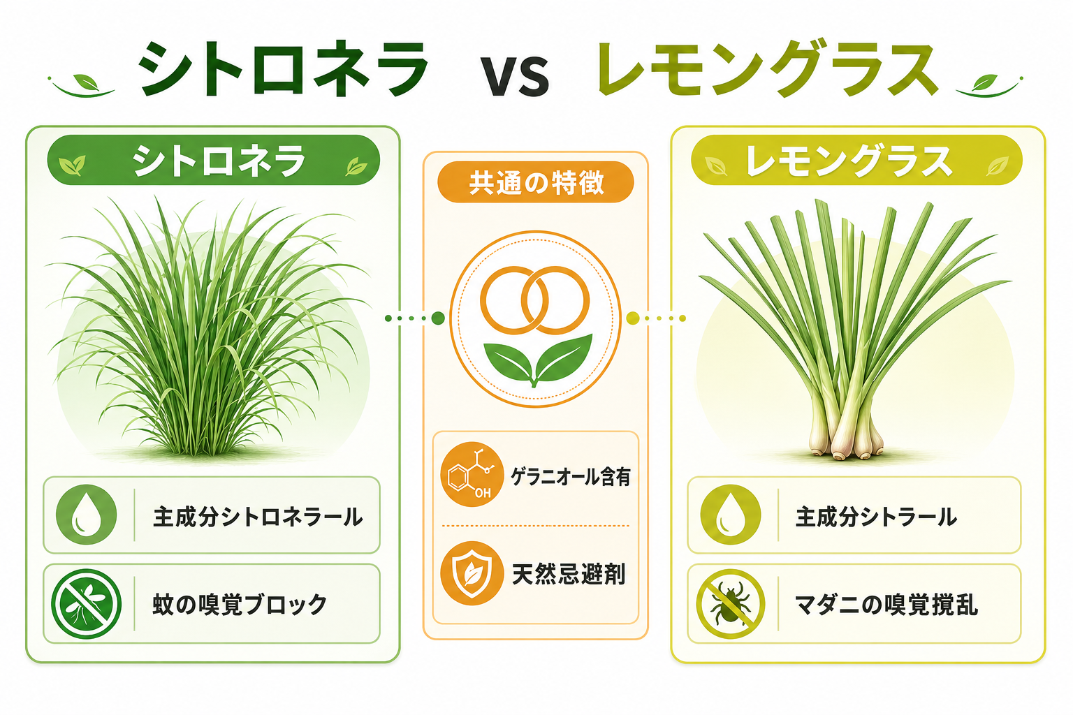 図解