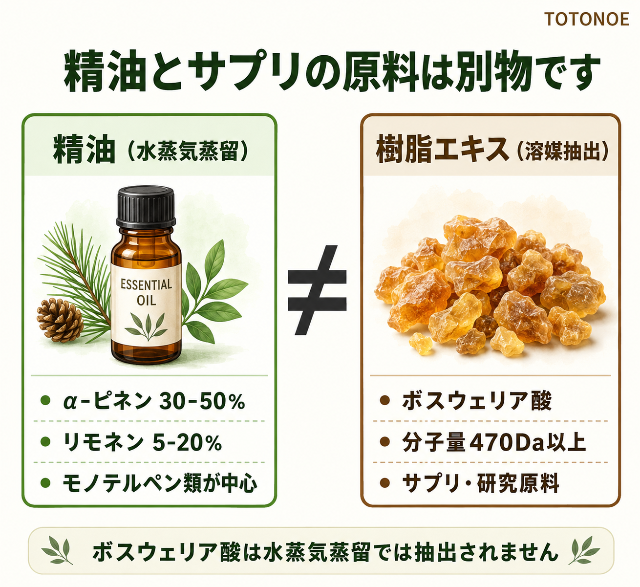 ボスウェリア酸と精油の違いを2カラムで比較した図解。左=樹脂エキス(ボスウェリア酸含有) 右=精油(α-ピネン・リモネン中心)