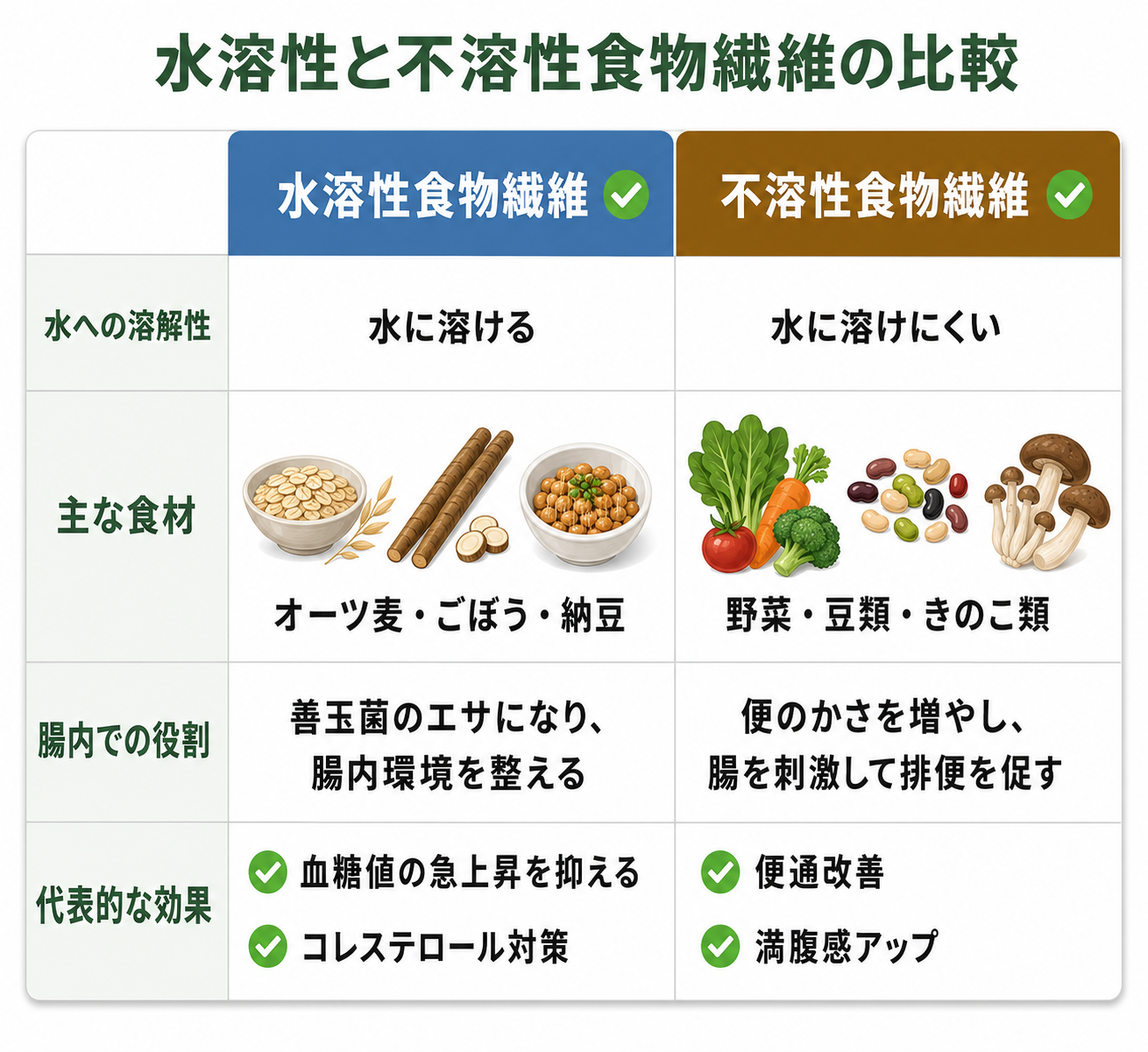 図解: 水溶性と不溶性食物繊維の比較