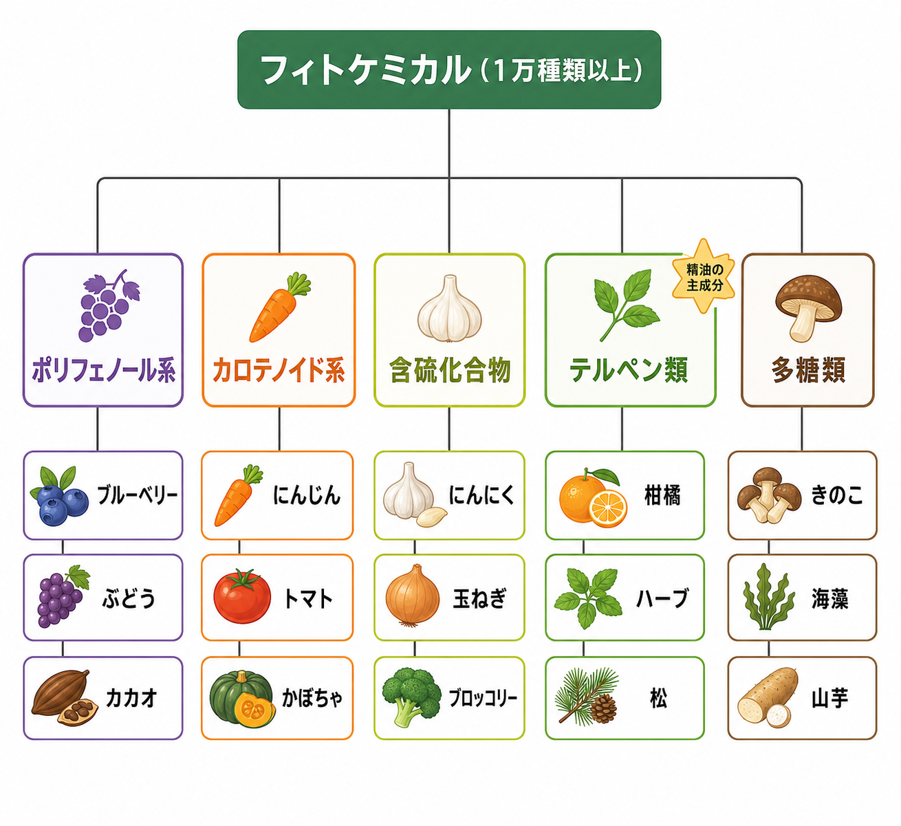 フィトケミカル5大分類