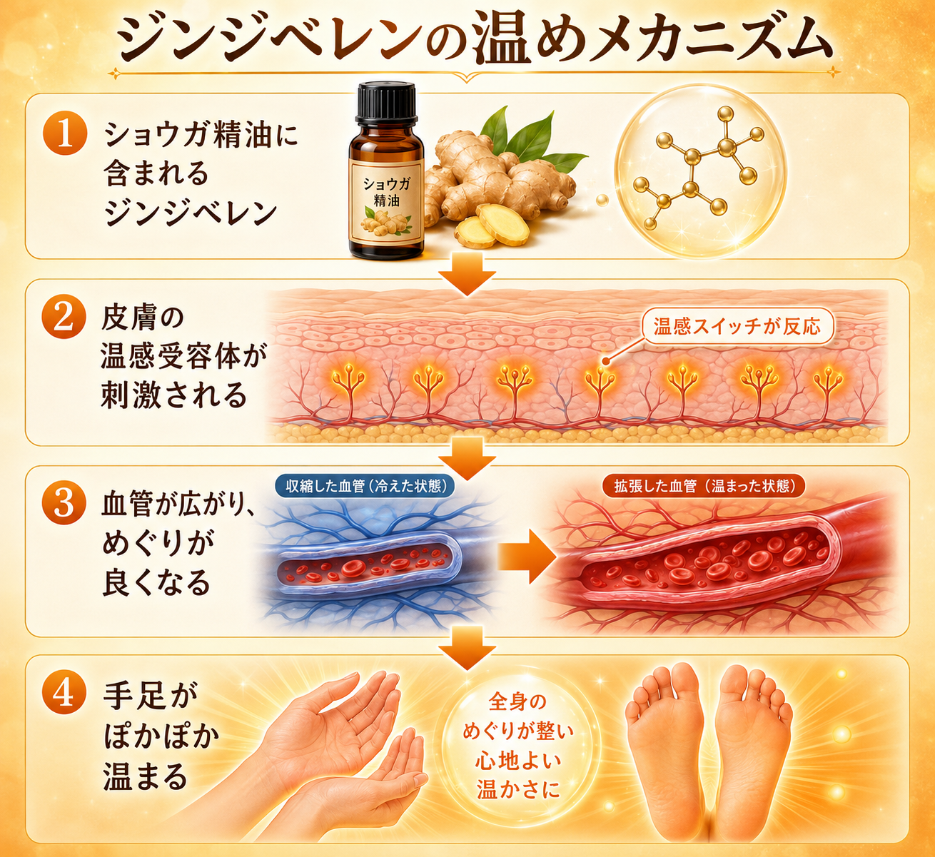 ジンギベレンの温熱メカニズム4ステップ