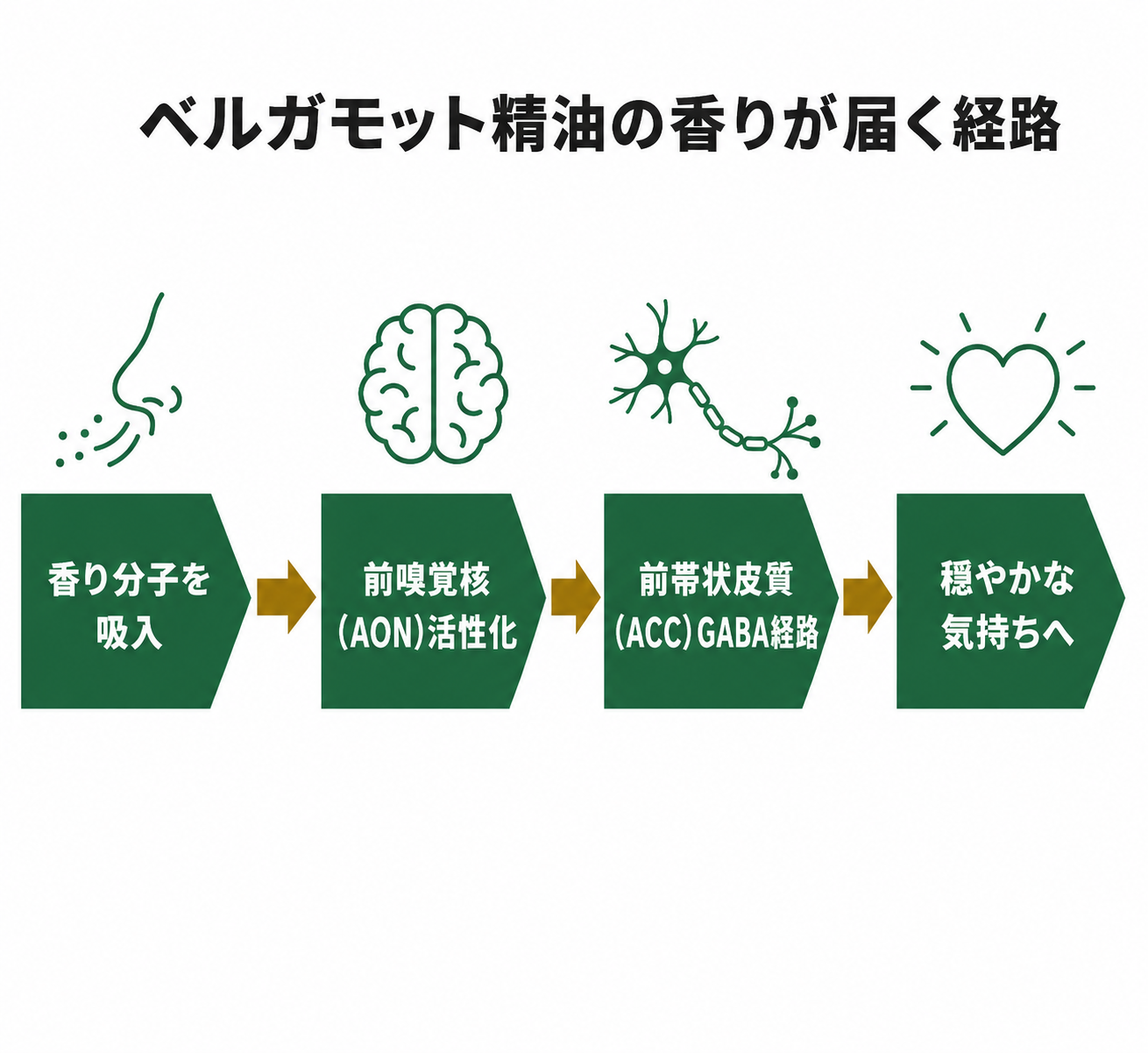 父の日に"健康"を贈る ── 50代からの睡眠・ストレスケアに精油が選ばれる理由 21 図解: 父親世代におすすめの3つの精油