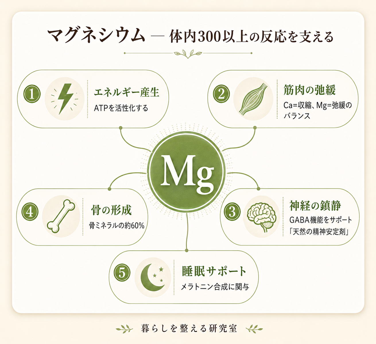 慢性疲労の原因は栄養素不足?鉄・ビタミンB群・マグネシウムの科学的根拠と今日からできる対策 42 inline 04