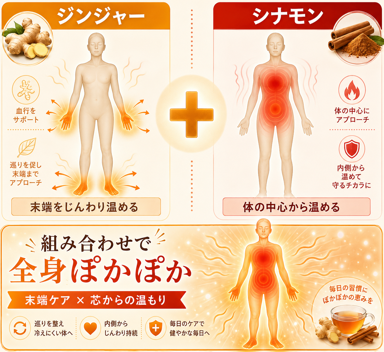 ジンジャーとシナモンの相乗効果