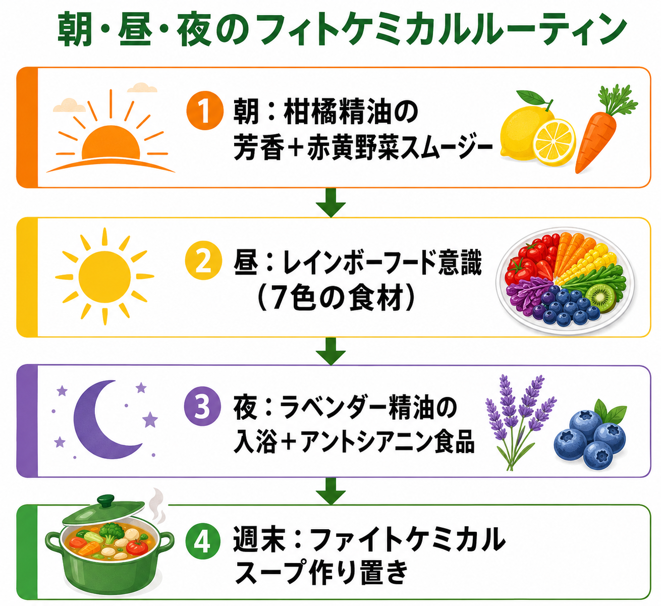朝昼夜のフィトケミカルルーティン