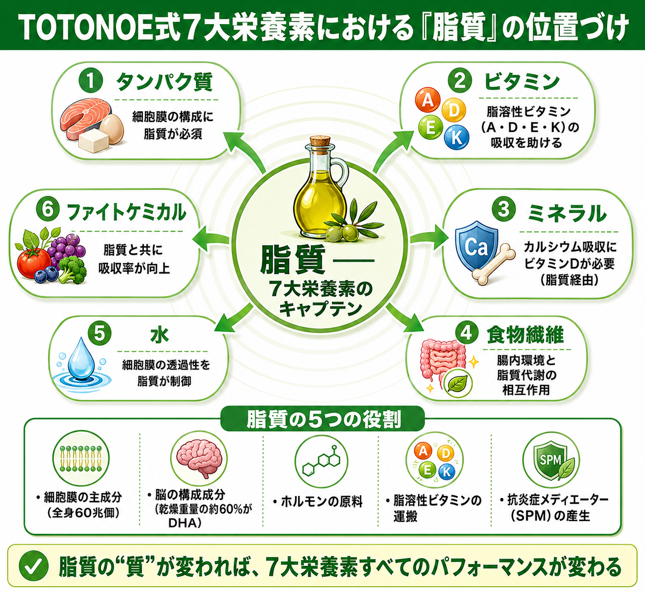 良い油と悪い油の見分け方 ── オメガ3:6の黄金比で体が変わる理由 47 7大栄養素とセルフケア