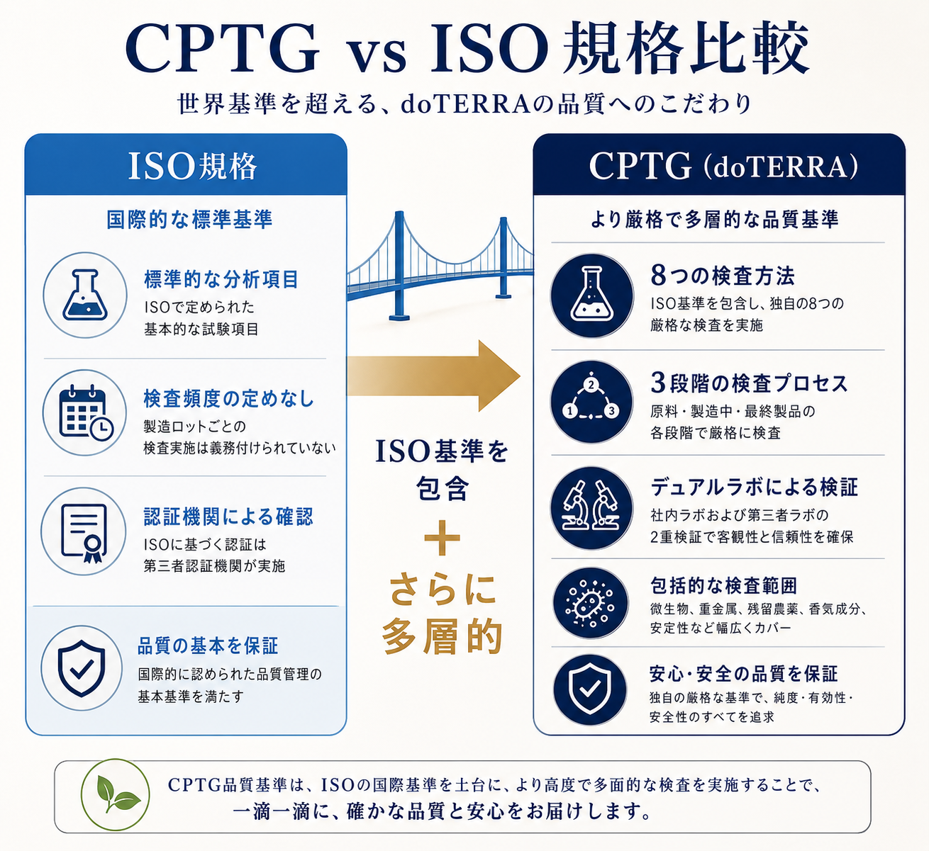doTERRAのCPTG品質基準を完全解説|8つの検査で守られる精油の真実 15 CPTGとISO規格の関係図:独自基準と国際規格の位置づけを比較