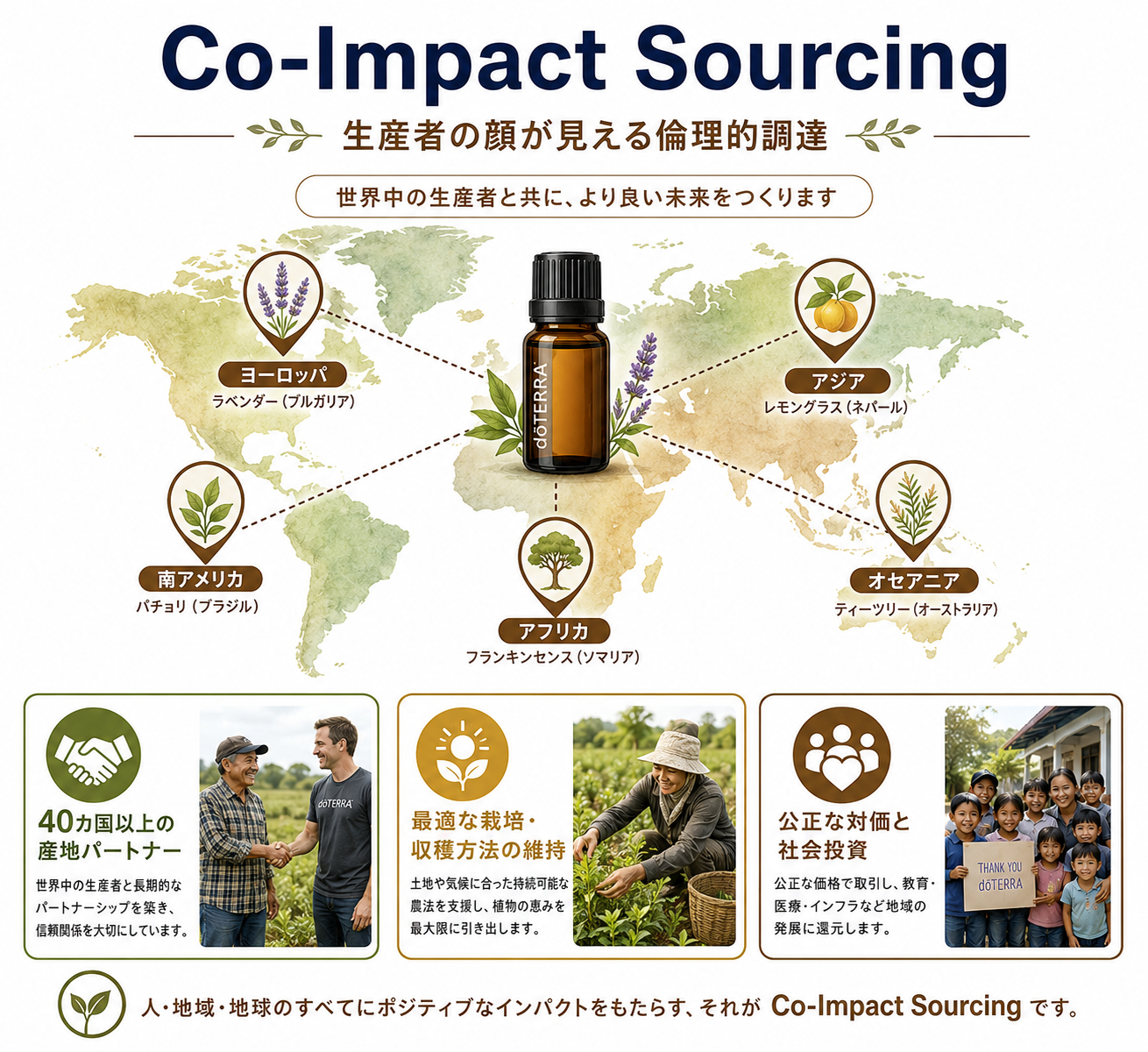 doTERRAのCPTG品質基準を完全解説|8つの検査で守られる精油の真実 49 Co-Impact Sourcingの図解:世界40カ国以上の産地ネットワーク