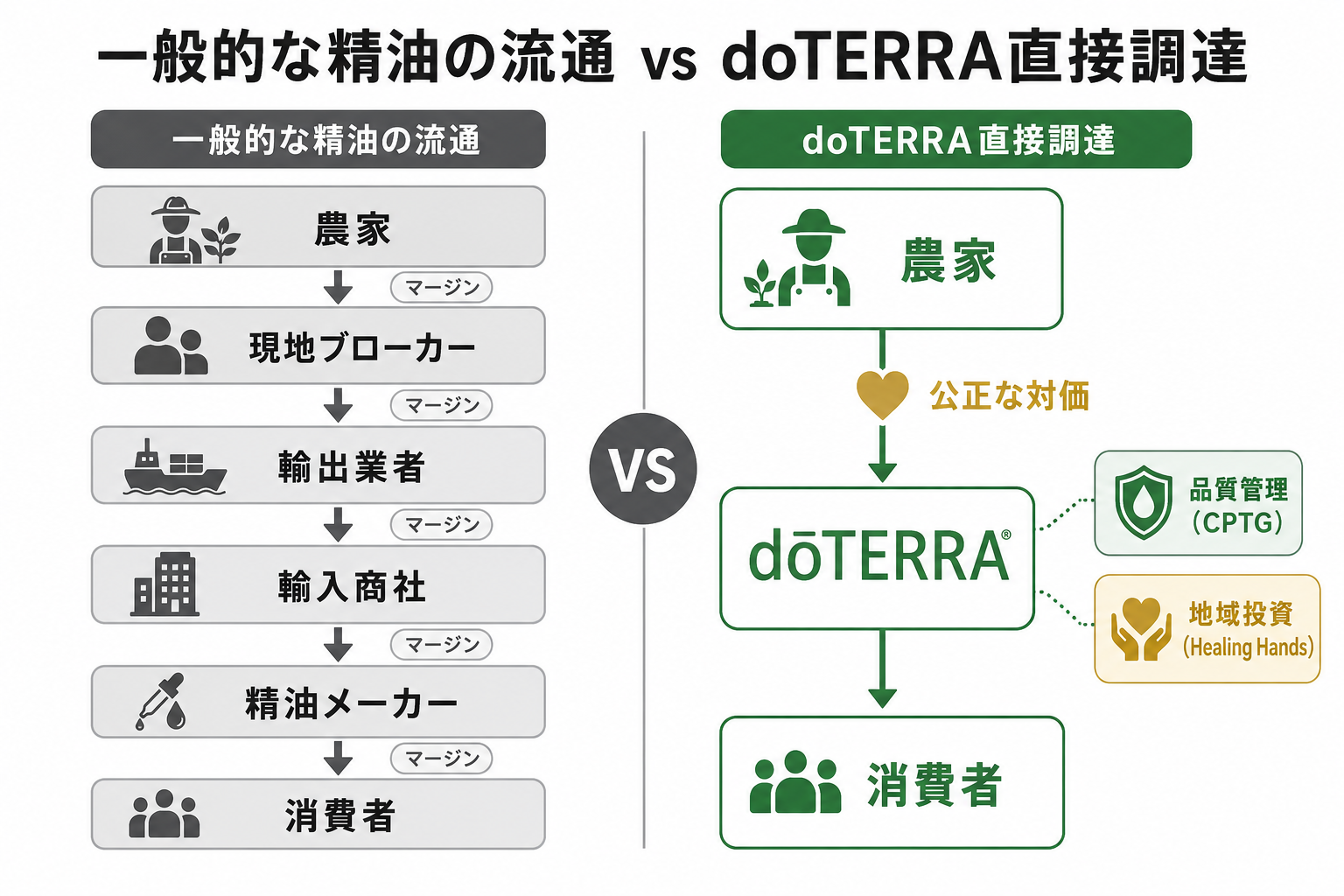 doTERRAの精油はなぜ高い?コ・インパクトソーシングで変わる「1滴の価値」 10 図解: 一般的な精油の流通 vs doTERRA直接調達の比較