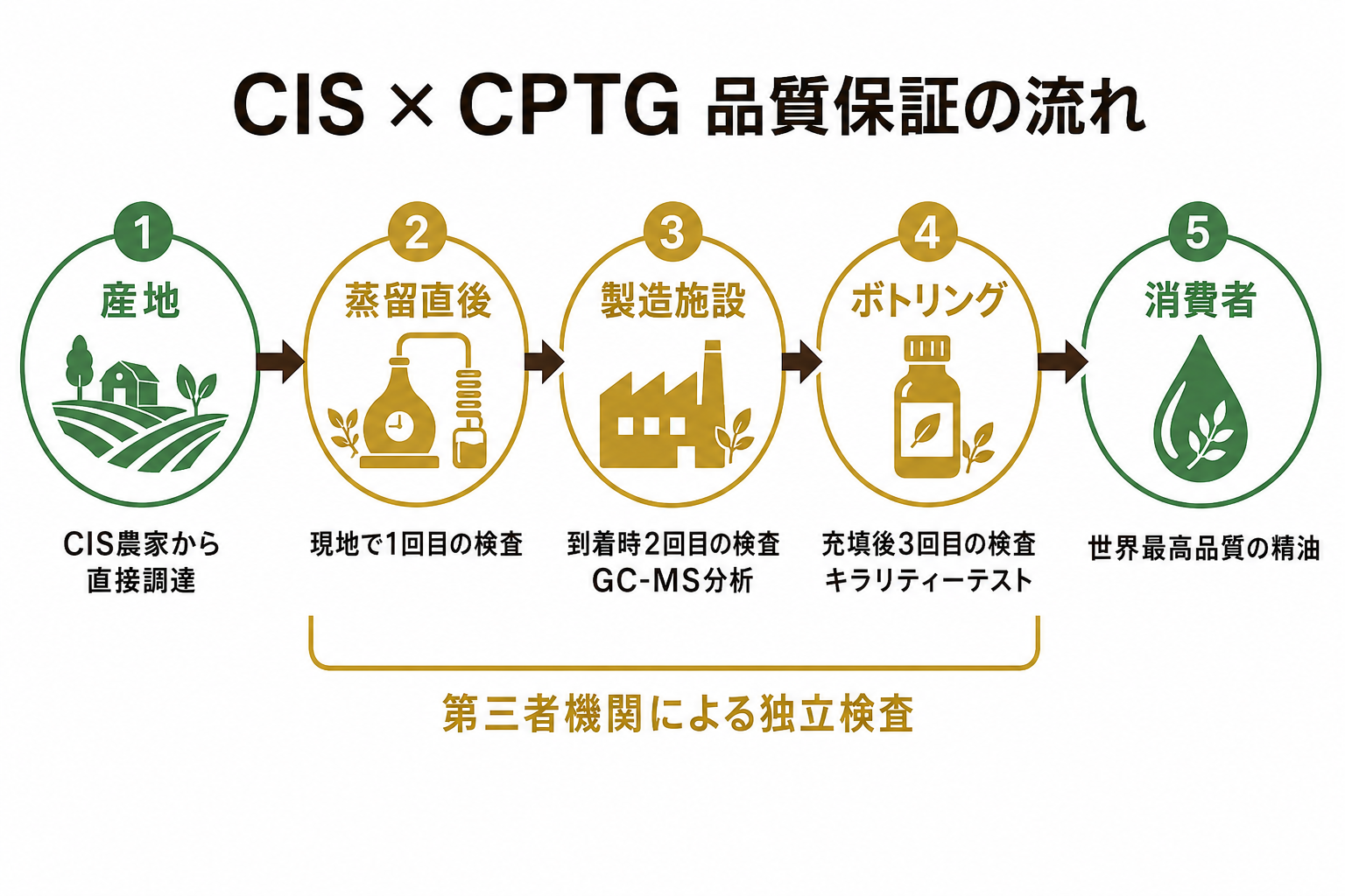 doTERRAの精油はなぜ高い?コ・インパクトソーシングで変わる「1滴の価値」 32 図解: CIS→CPTG品質保証の一連の流れ