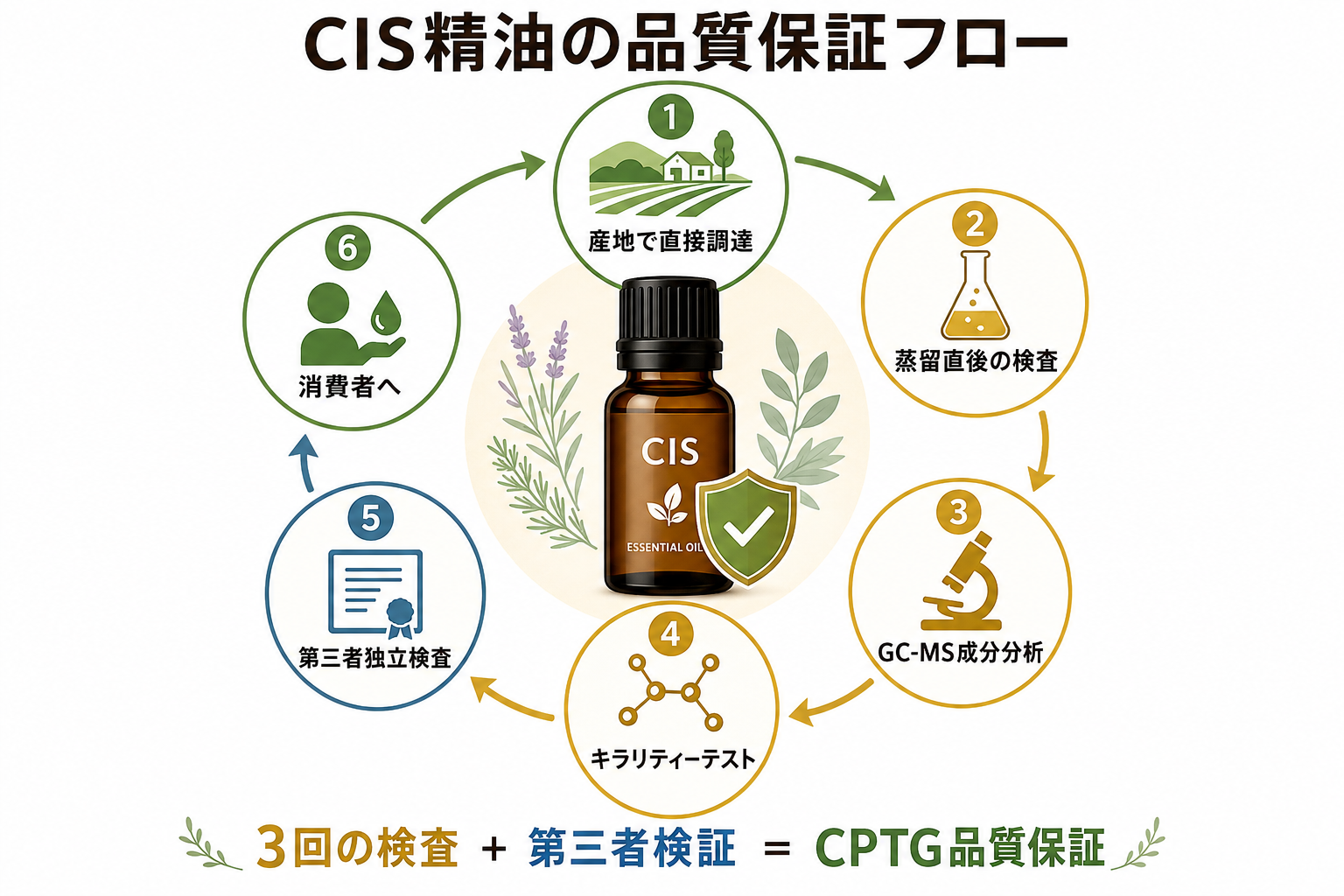 doTERRAの精油はなぜ高い?コ・インパクトソーシングで変わる「1滴の価値」 38 図解: CIS精油の品質保証フロー(産地→3回検査→消費者)