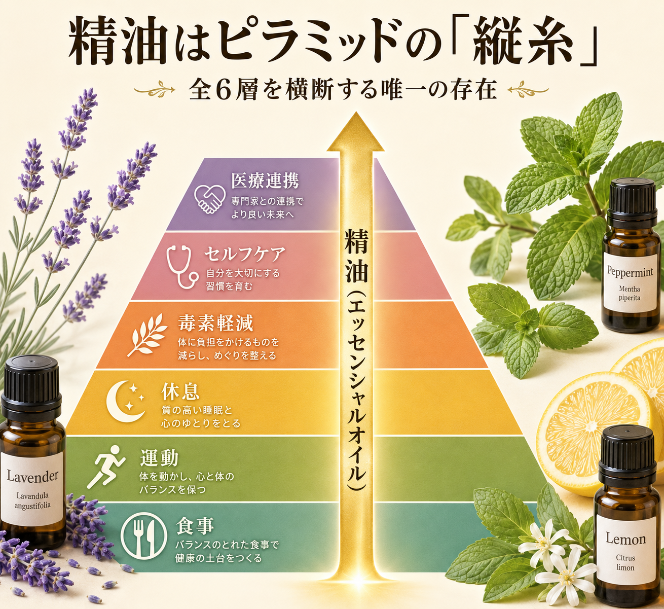 図解: 精油が6層を縦断するイメージ（ピラミッドに縦の矢印）
