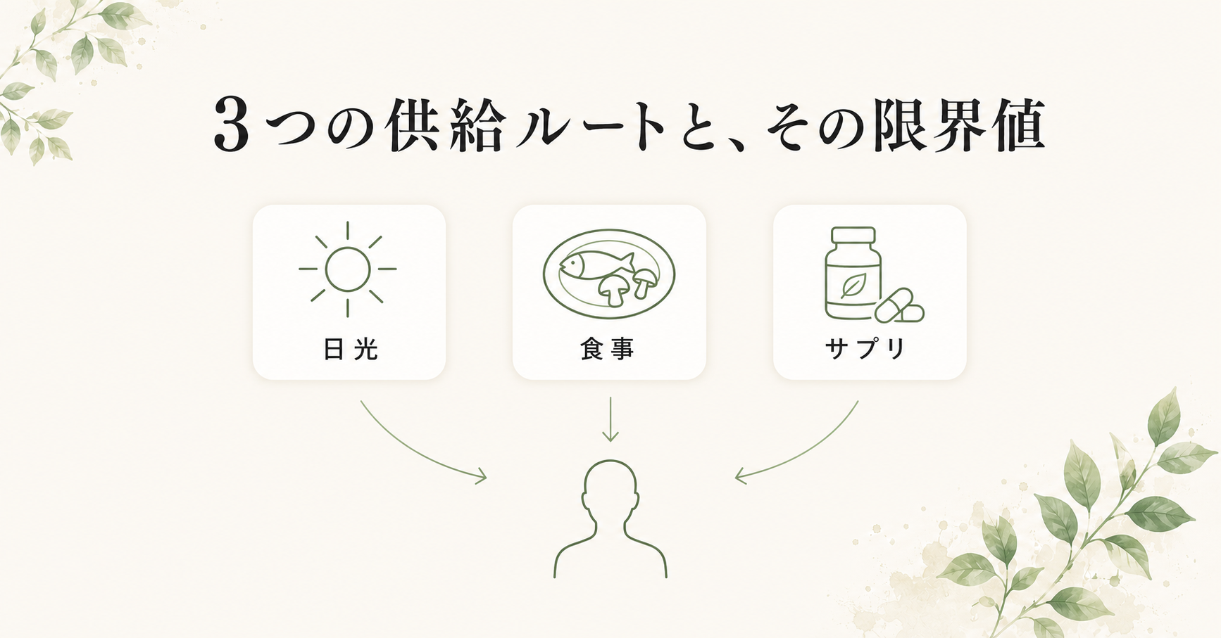 日本人の多くが足りていない"ビタミンD"──免疫・骨・メンタルの科学 29 イメージ: 3つの供給ルートと、その限界値