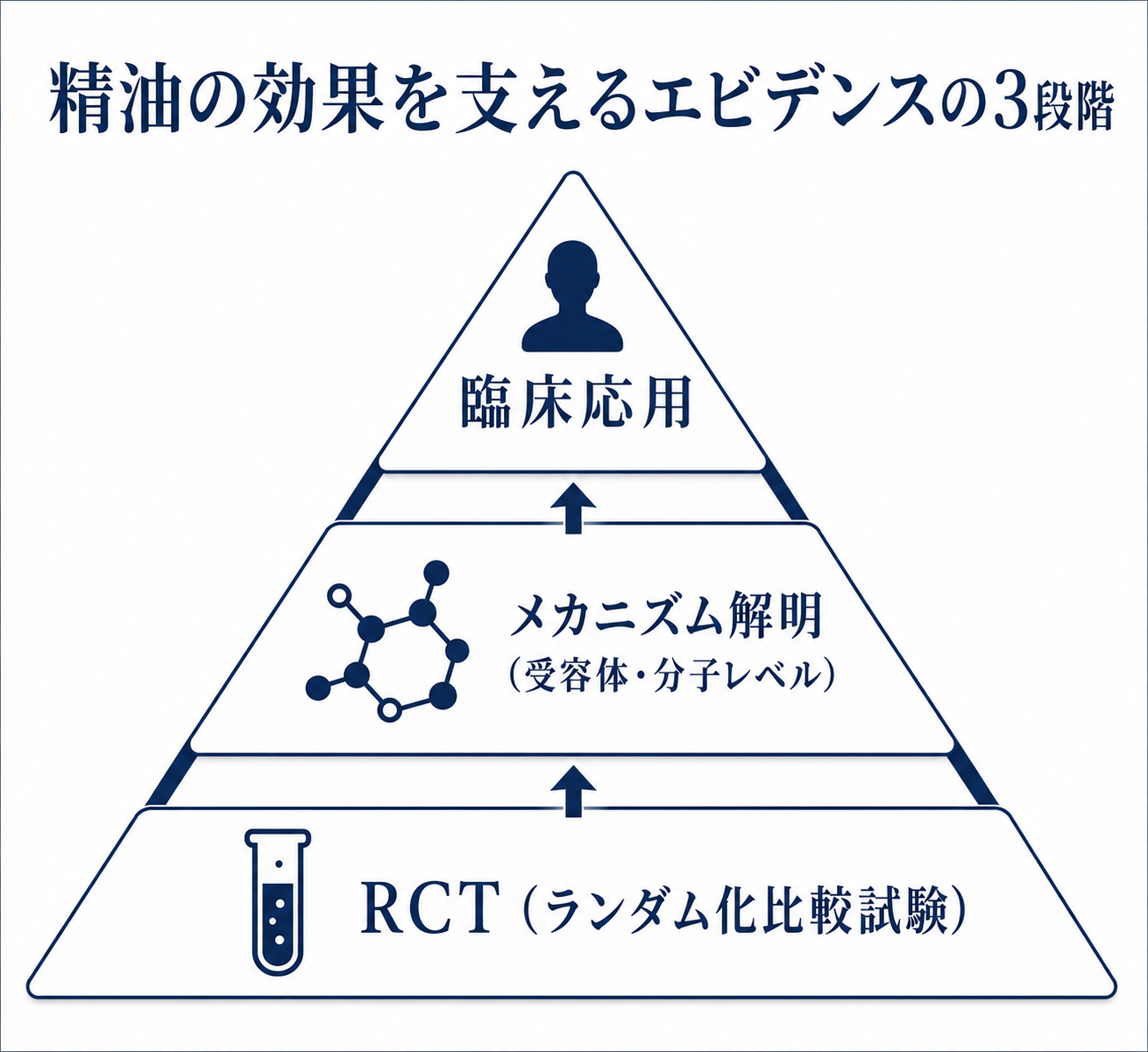 図解