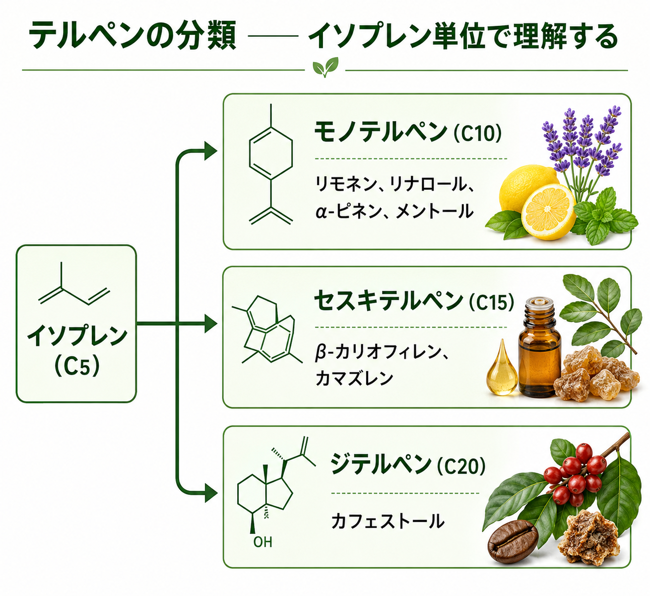 図解