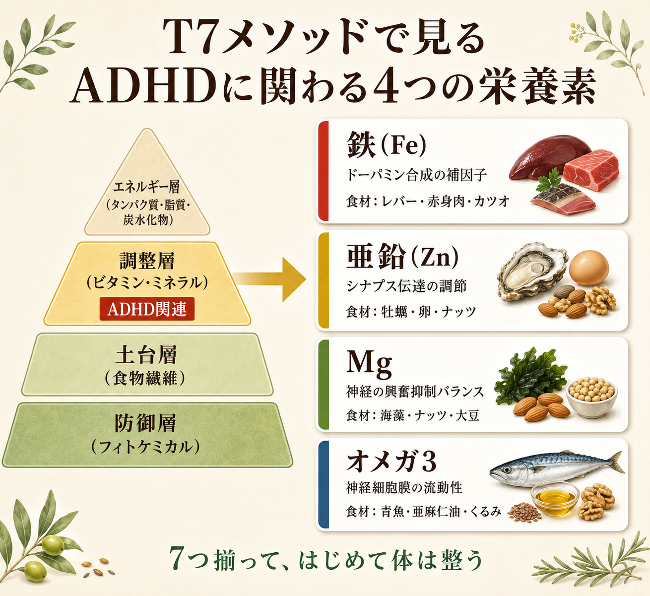 T7メソッドで見るADHDに関わる4つの栄養素
