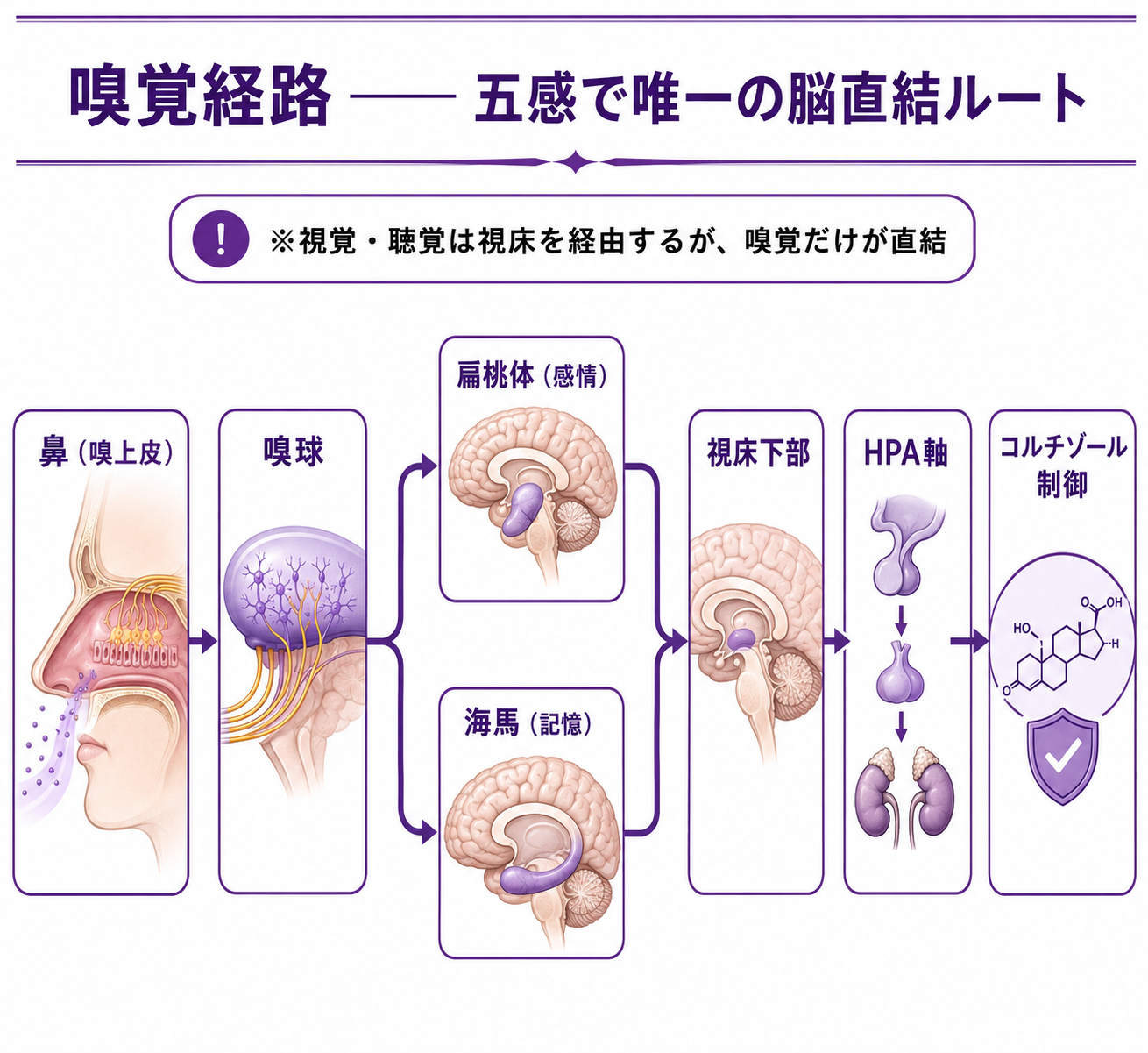 図解
