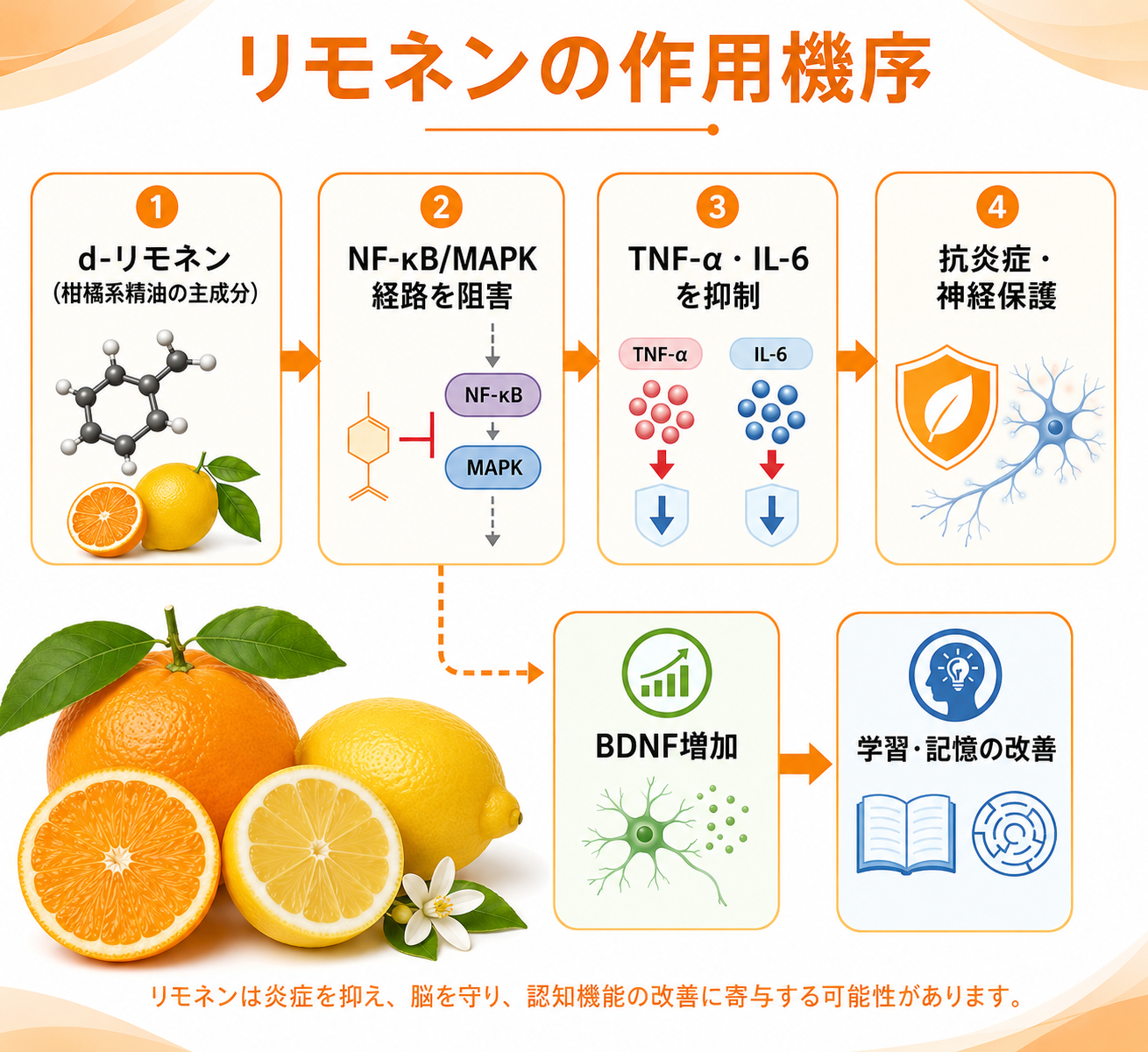 図解