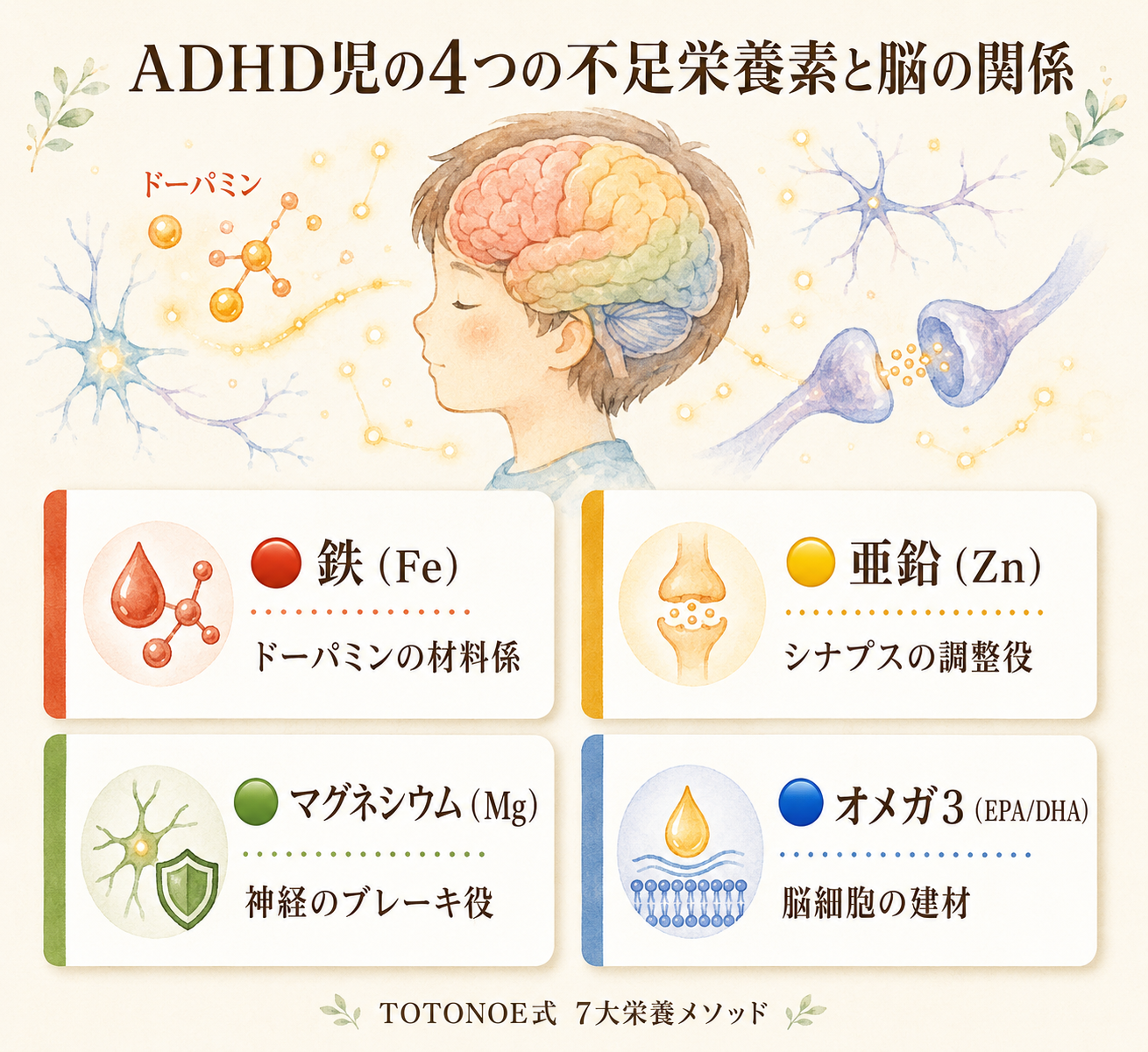 ADHD栄養素エビデンスまとめ