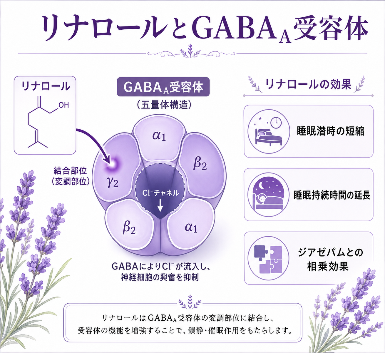 図解
