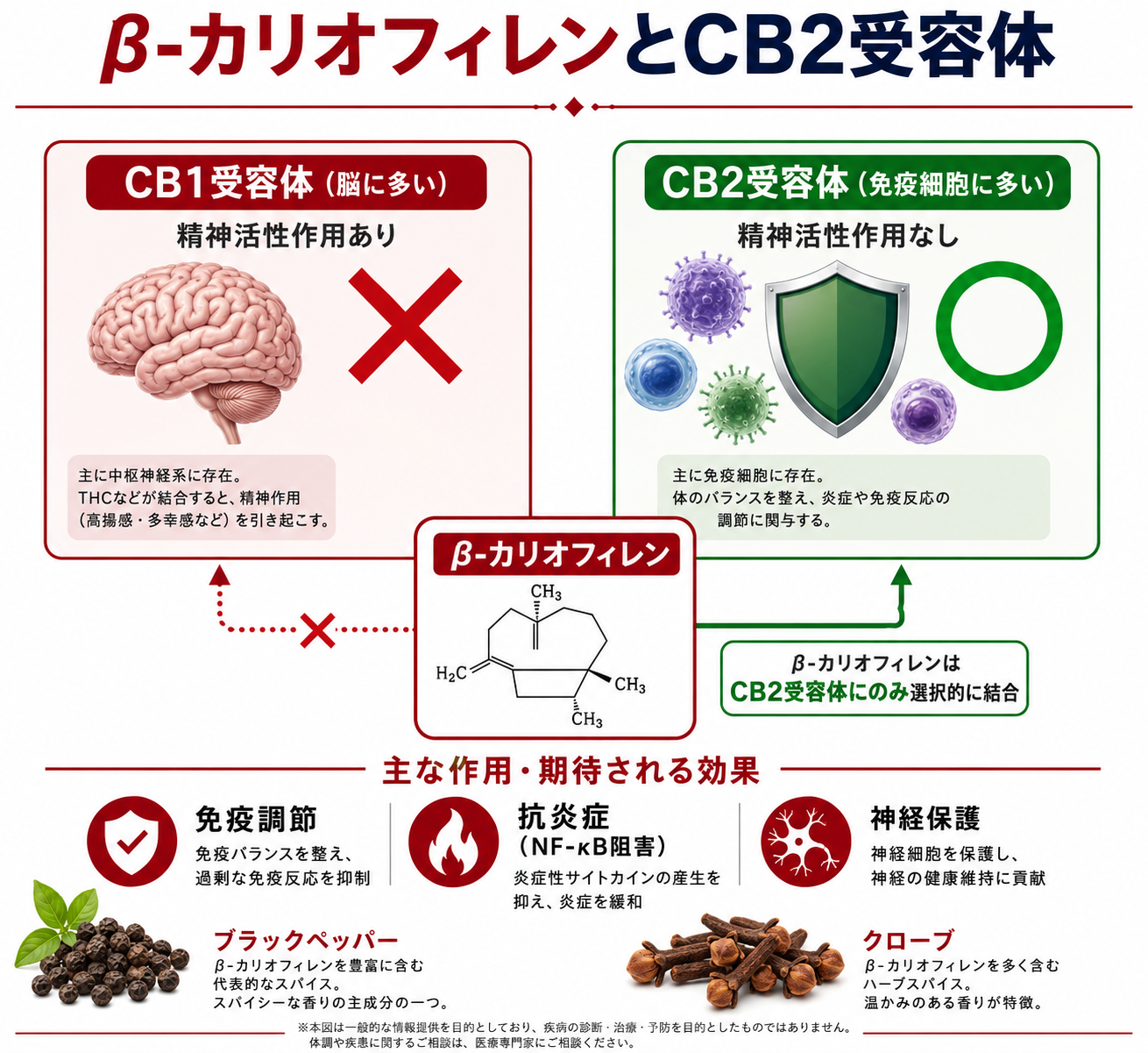 図解