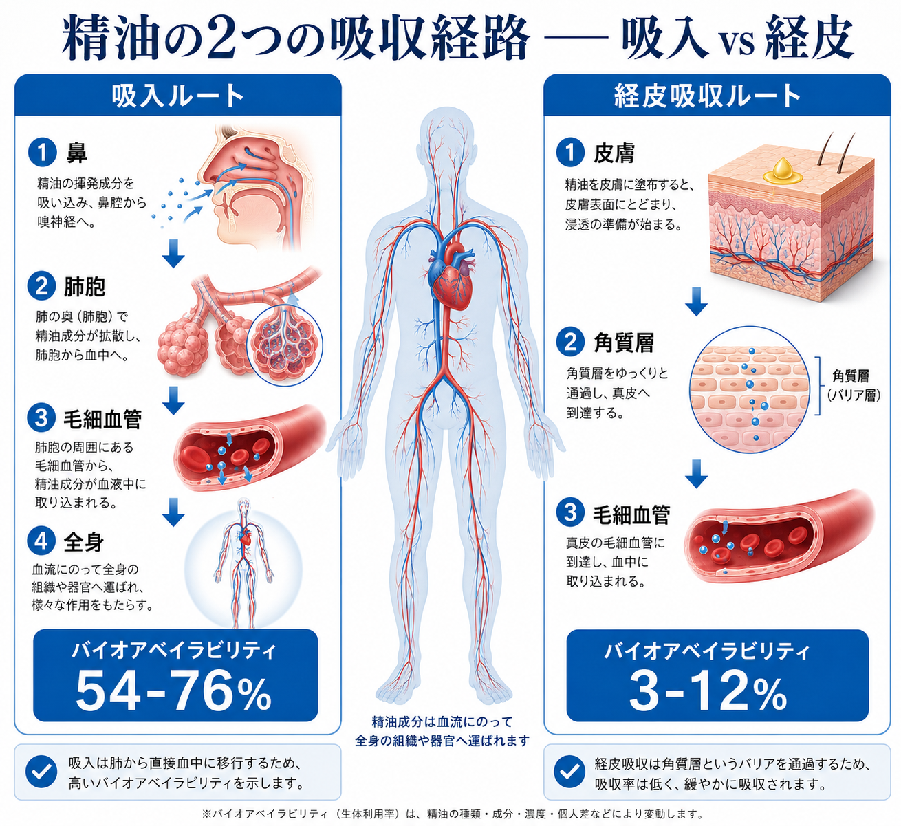 図解
